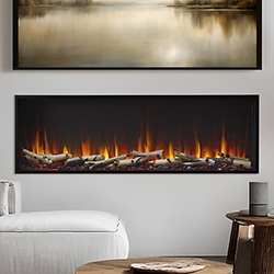 55" Scion Clea...